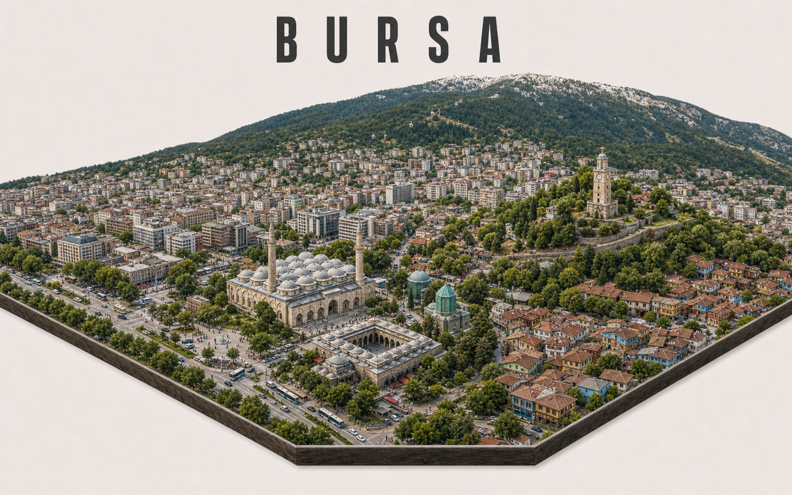 Bursa